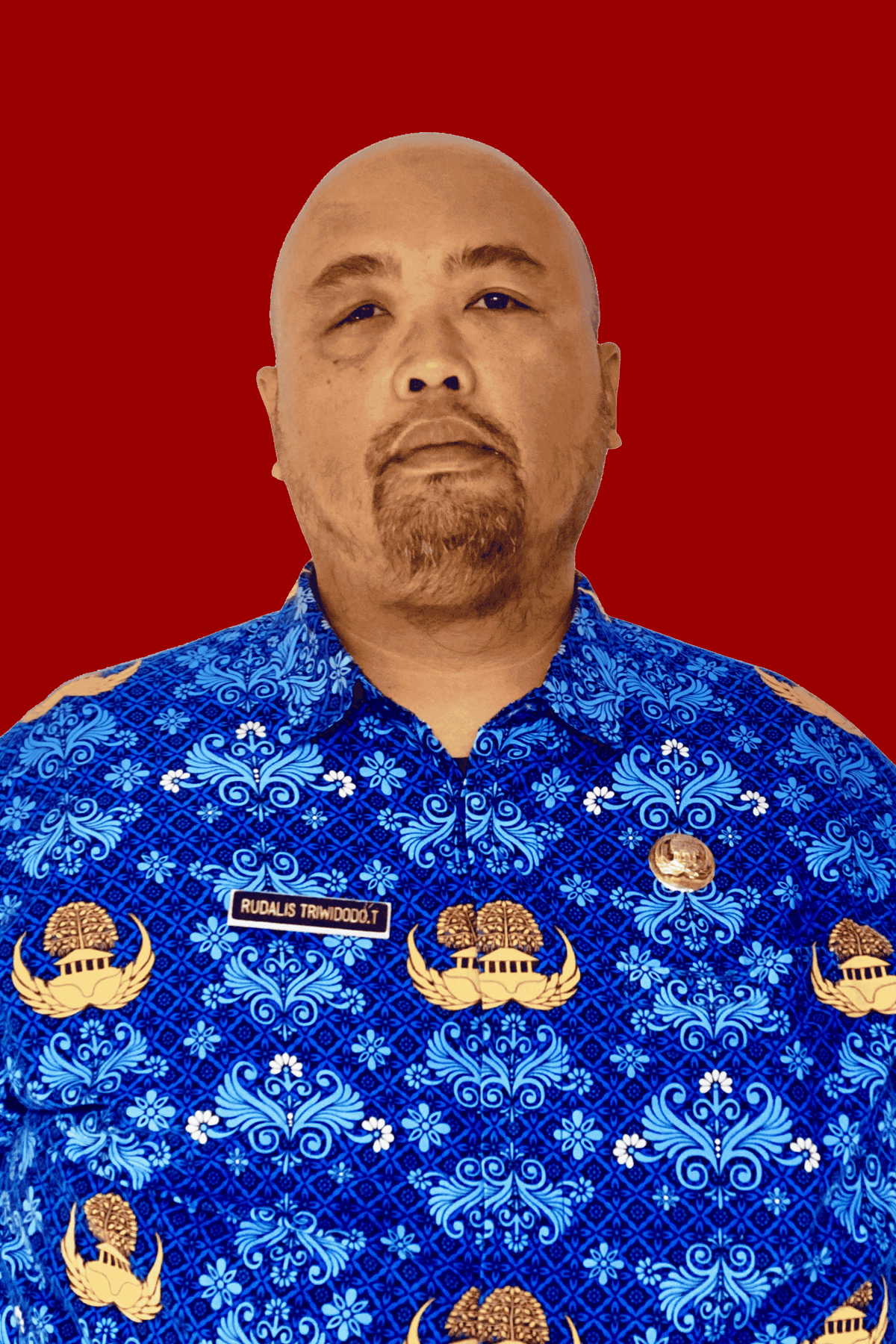 Rudalis Triwidodo T., S.Pi