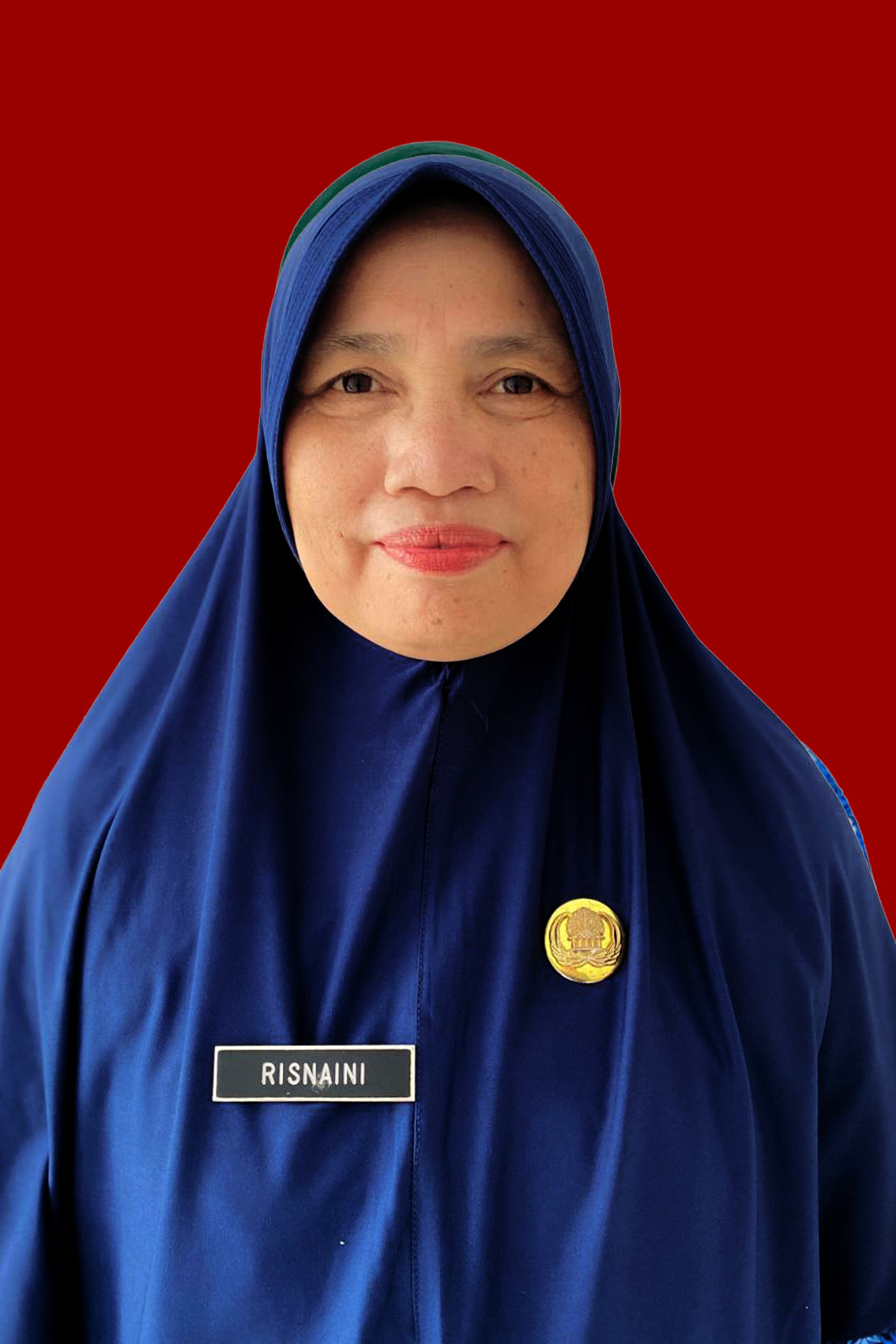 Risnaini, S.Pd